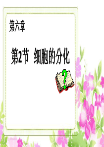 第二节--细胞分化--课件-(共32张PPT)