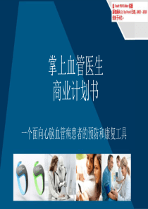 掌上血管医生商业计划书（PPT22页）