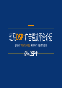 斑马传媒斑马DSP平台介绍商业计划书（PDF65页）