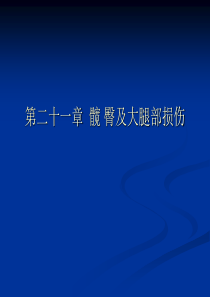 体育保健学课件第二十一章髋臀及大腿部损伤