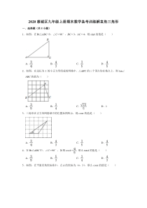 学生版解直角三角形2020惠城区九年级上册期末数学备考训练