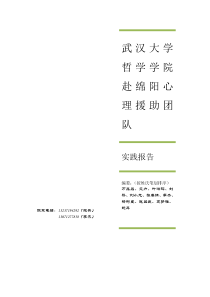 心走四川(武汉大学哲学学院赴灾区心理援助团队报告)