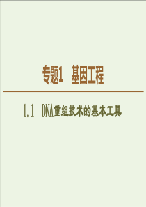 20192020学年高中生物专题111DNA重组技术的基本工具课件新人教版选修3