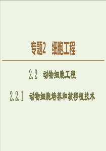 20192020学年高中生物专题2221动物细胞培养和核移植技术课件新人教版选修3