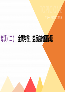 20192020年中考化学专题复习专项02金属与酸盐反应的图像题