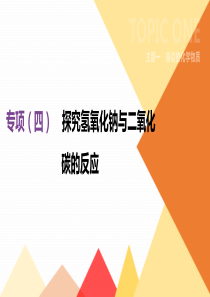 20192020年中考化学专题复习专项04探究氢氧化钠与二氧化