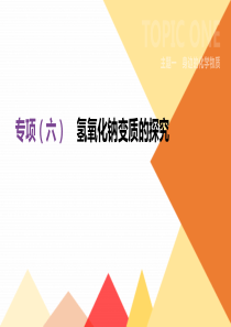 20192020年中考化学专题复习专项06氢氧化钠变质的探究