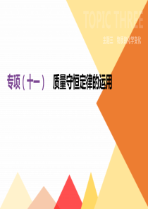 20192020年中考化学专题复习专项11质量守恒定律的运用