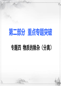 人教版初三化学第二部分重点专题突破4专题四物质的除杂分离