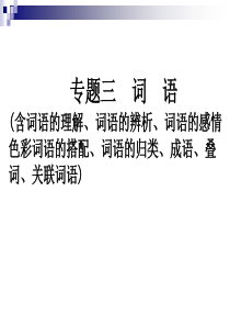 小升初语文课件专题三词语