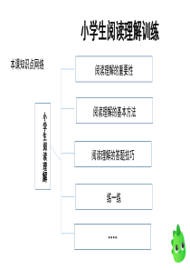 小学生阅读理解训练PPT课件