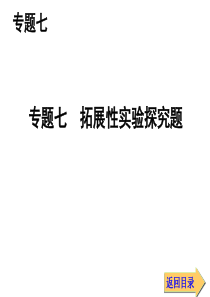 物理中考复习课件专题七拓展性实验探究题