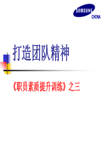 打造团队精神（PPT 39页）