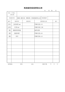 现场验收检查原始记录(样表)