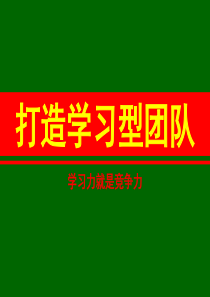 打造学习型团队1（PPT46页)