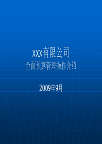 某公司全面预算介绍