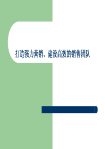 打造强力营销_建设高效销售团队（PPT41页)