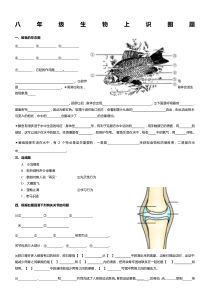 八年级生物上填图题(识图题)专题复习