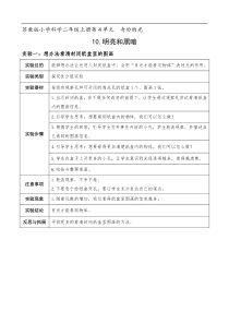 苏教版科学二年级上册10明亮和黑暗实验单