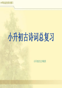 2019年小升初语文总复习PPT小升初语文冲刺古诗词复习