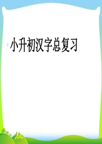 小升初汉字总复习