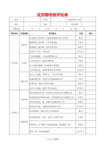 试用期考核评估表