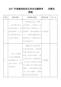 民主生活会问题清单及整改措施