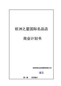 欧洲之星国际名品店商业计划书（DOC 19页）