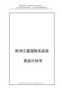 欧洲之星国际名品店商业计划书（DOC19页）