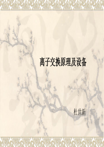 离子交换原理及设备--杜世新