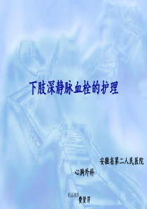 下肢深静脉血栓的护理-