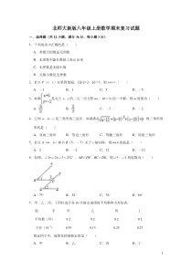 北师大版八年级上册数学期末复习试题(有答案)