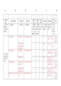 风险管理计划模版