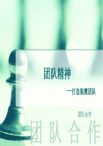 打造鹰狼团队