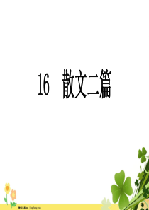 河南专版八年级语文上册第四单元16散文二篇课件新人教版