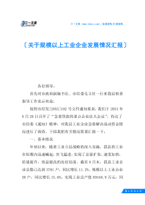 关于规模以上工业企业发展情况汇报