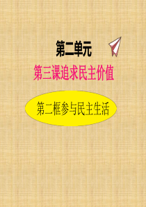 部编版道德与法治九年级上册32参与民主生活