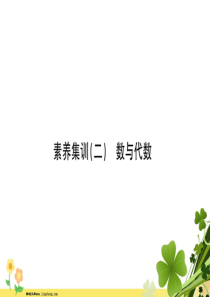 2020版青岛版六三制四年级数学下册回顾整理总复习素养集训二数与代数课件