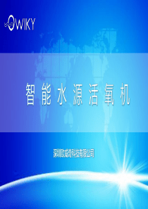 深圳欧威奇科技有限公司.商业计划书（PDF41页）