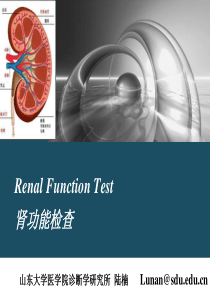 肾功能检查解析