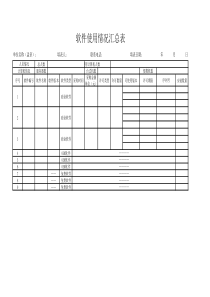 软件使用情况汇总表