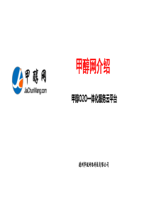 甲醇O2O一体化服务云平台.商业计划书（PDF30页）