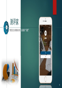 盖格网络-测评家.商业计划书（PDF32页）
