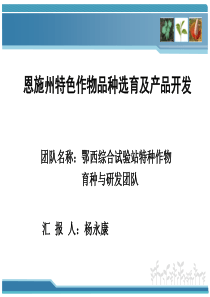 特种作物育种及研发团队年度工作汇报