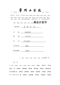 社科系商业计划书