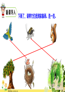 四年级语文上册第二单元8蝴蝶的家教学课件新人教版免费下载