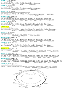 pGEX质粒图谱
