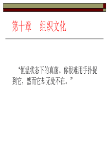 第10、11章组织文化和建立有效的团队管理