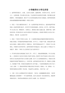 教师对小学生的评语