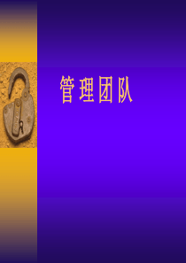 管理团队（PPT 68页）